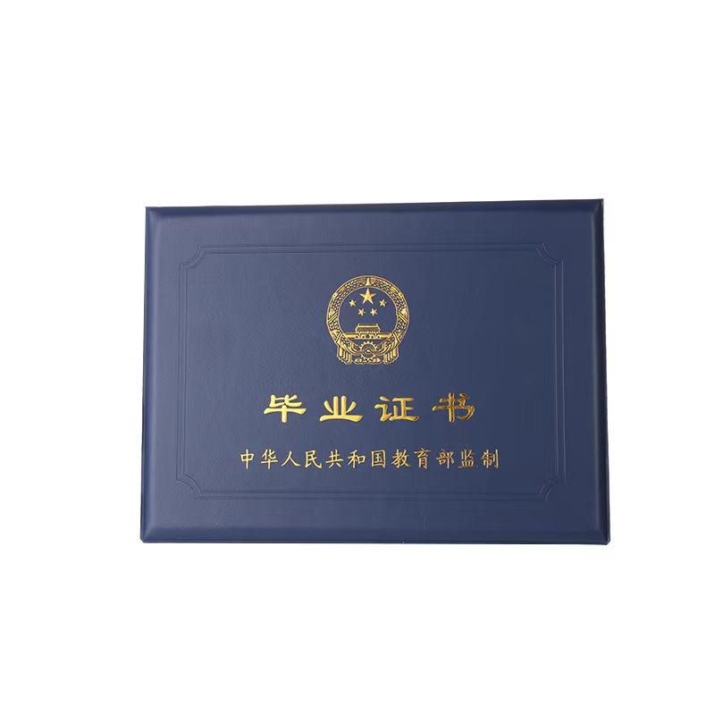大学毕业证定制仿制证件团队工作场景